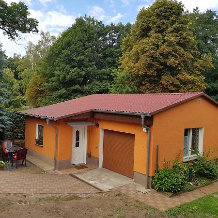 Ferienhaus Dubener Heide Apartment Bad Düben Exterior foto